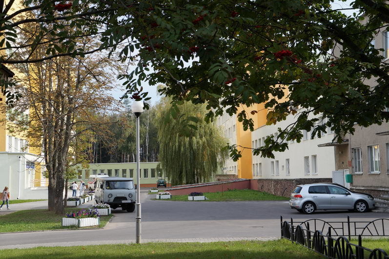 Image alt